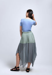 Poised Pleated Panelled Skirt