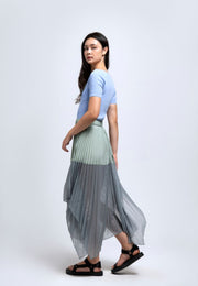 Poised Pleated Panelled Skirt