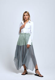 Poised Pleated Panelled Skirt