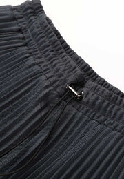 Poised Asymmetric Pleated Skirt