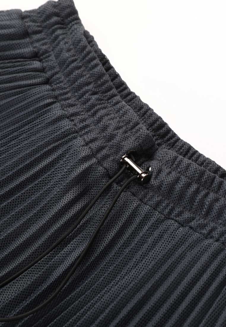 Poised Asymmetric Pleated Skirt