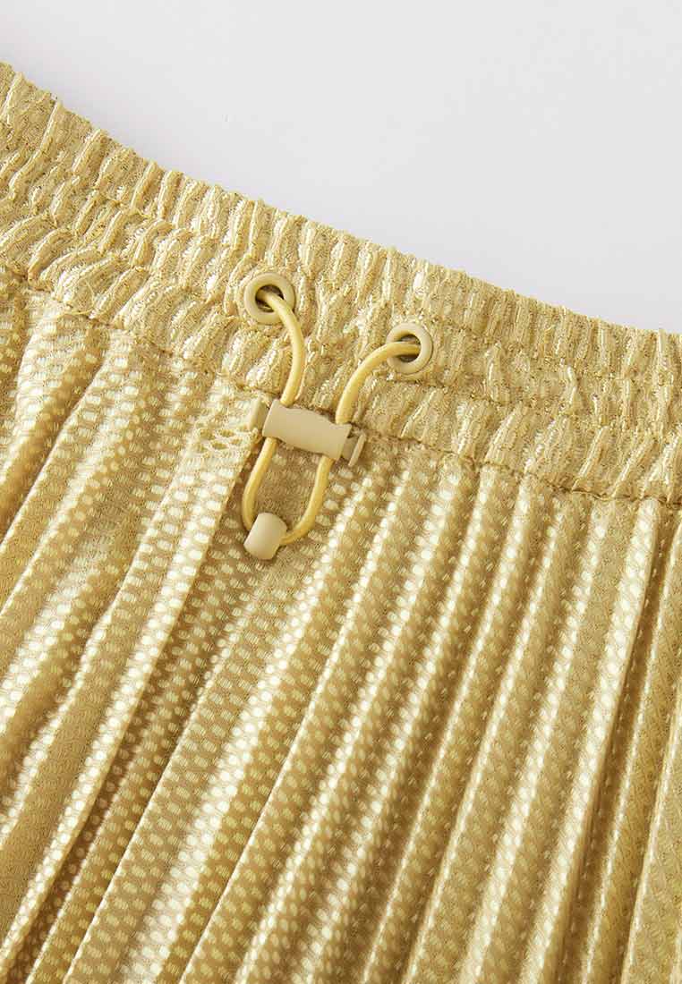 Poised Asymmetric Pleated Skirt 3.0