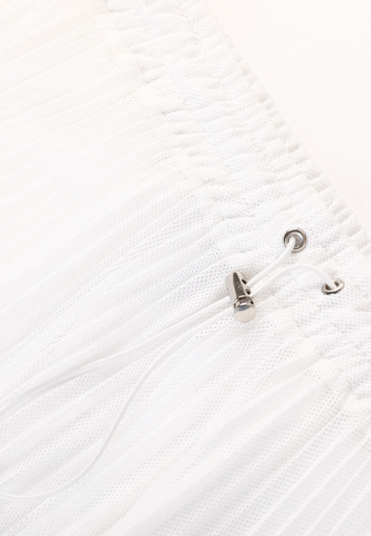 Poised Asymmetric Pleated Skirt