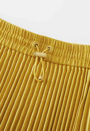 Poised Asymmetric Pleated Skirt 3.0