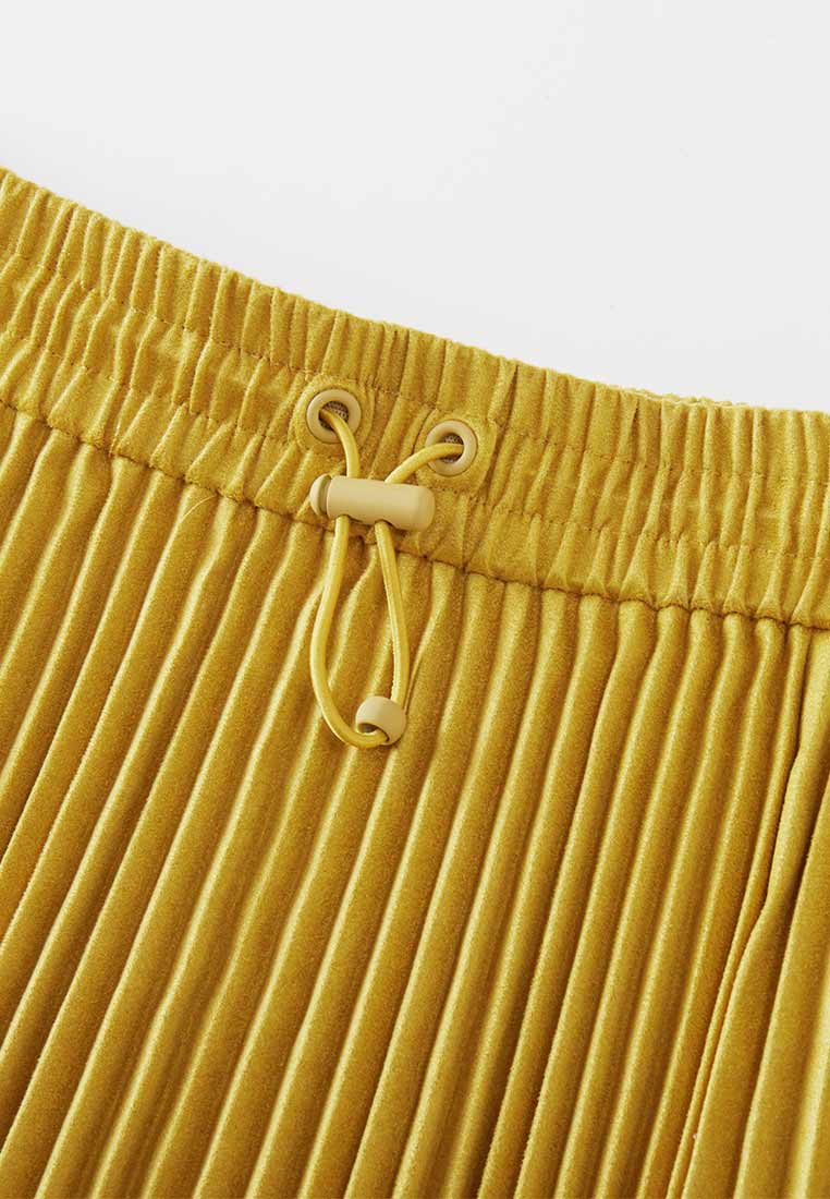 Poised Asymmetric Pleated Skirt 3.0