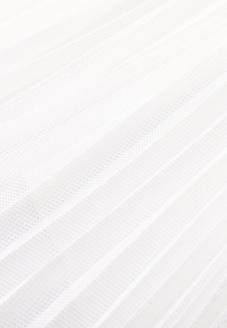 Poised Asymmetric Pleated Skirt