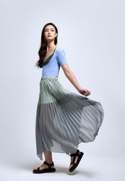 Poised Pleated Panelled Skirt